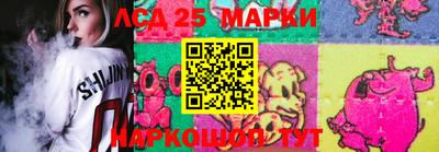 спайс Владимир