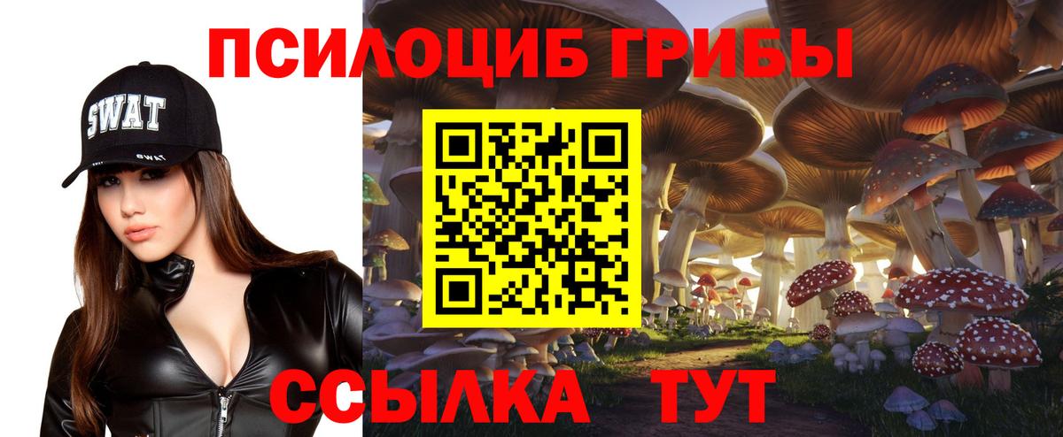 A PVP Выкса